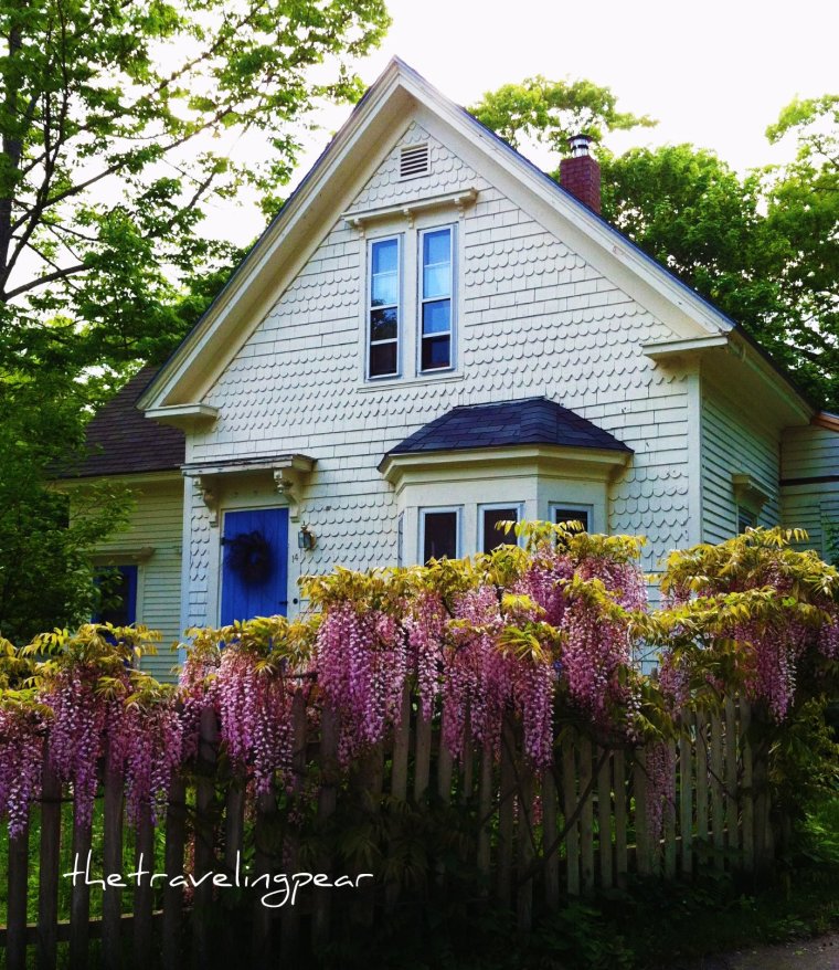 house with wisteria
