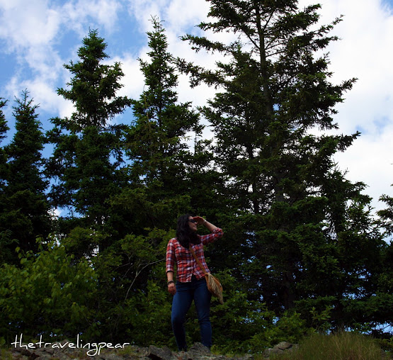 Searched for a new home...in Maine 