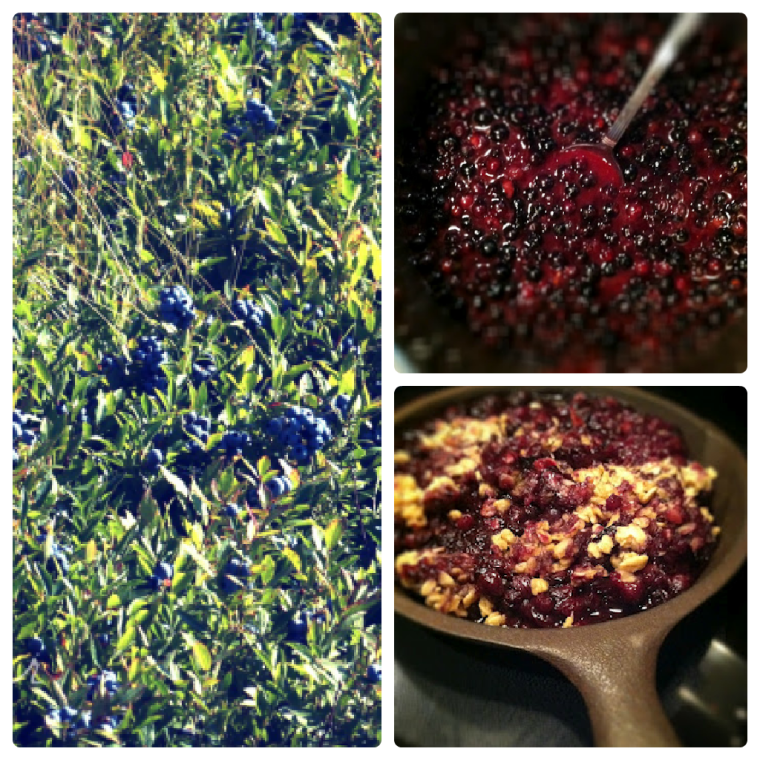 blueberry collage