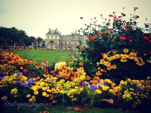 jardin du luxembourg