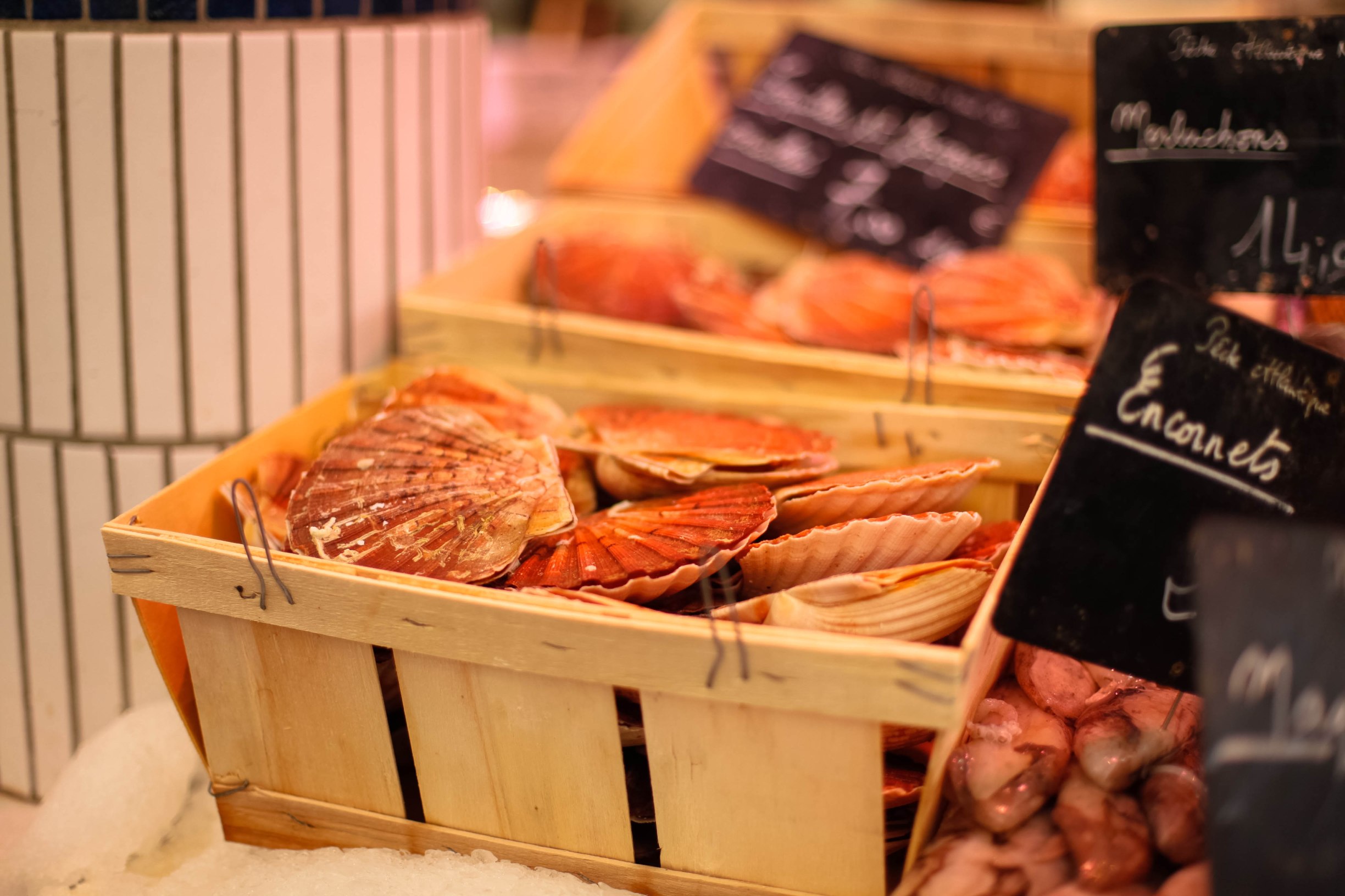 La Rochelle market scallops 