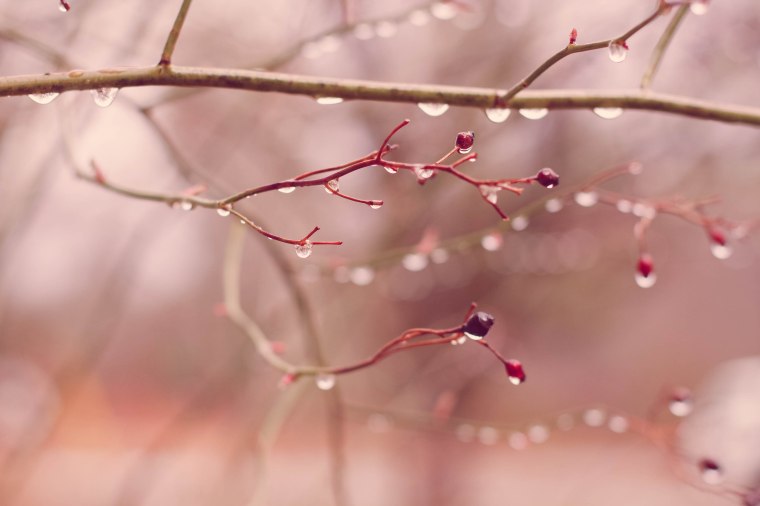 Afternoon rain shower 