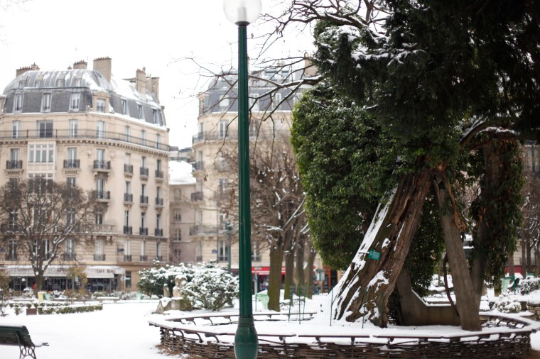 In Square Viviani is the oldest tree in Paris.  An acacia planted in 1601 and damaged during WWII went it was hit by a shell.  
