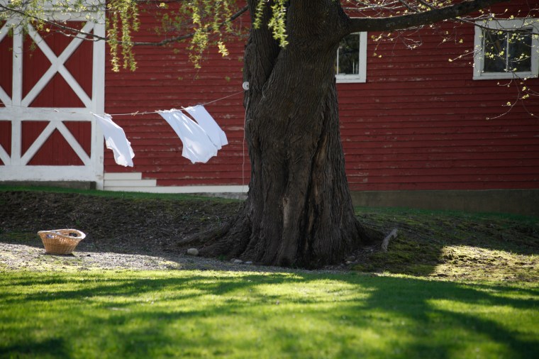 this made me long for life in the country...