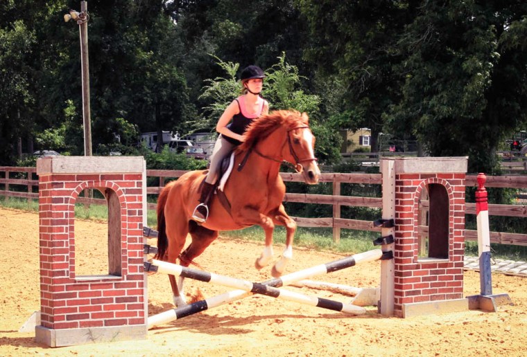 Holsteiner Horse jumping