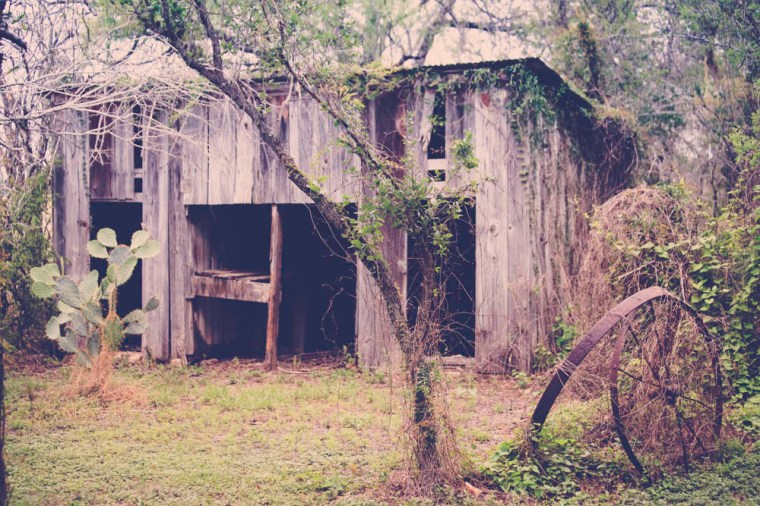 Texas pony barn