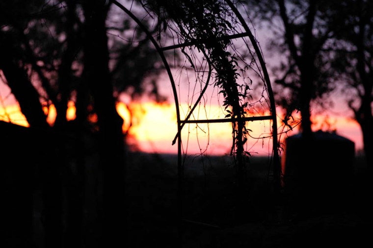 texas sunset