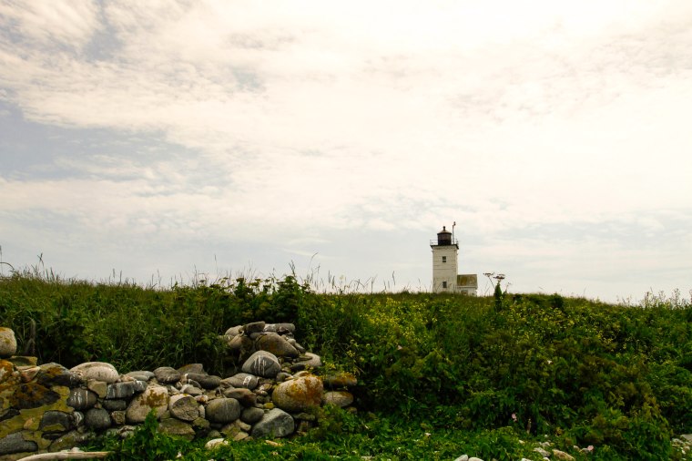 Two Bush Island Maine