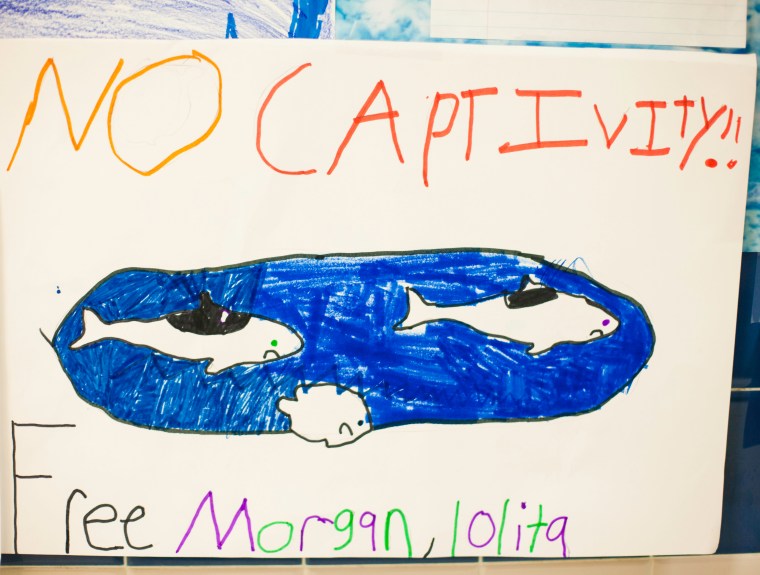 No Captive Orca