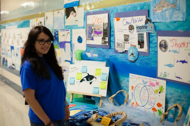 no orca in captivity