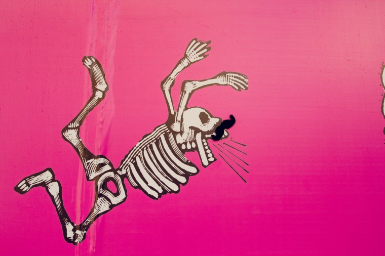 Día de Muertos Movember