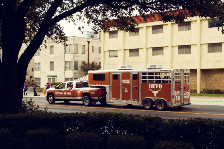 Bevo University of Texas