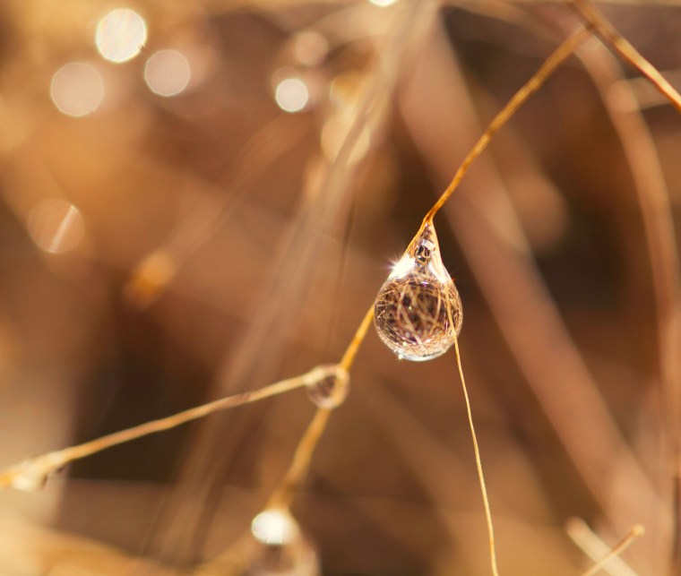 macro water drops