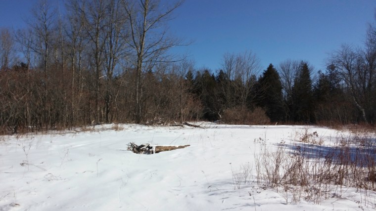 50 acre Forever Farm 