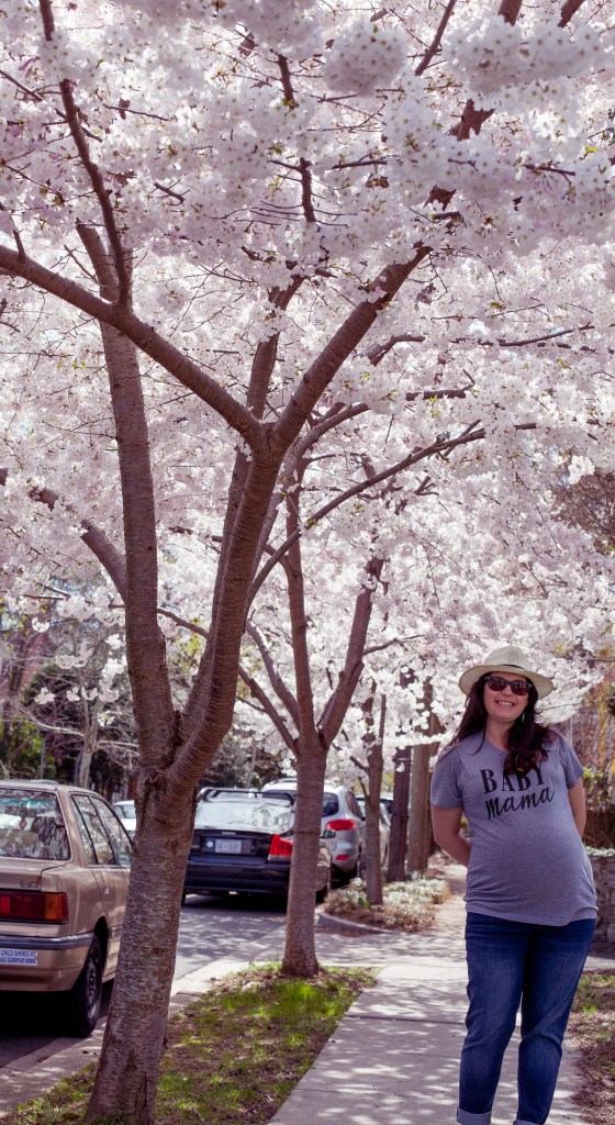 DC cherry blossoms maternity photoshoot