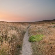 machester california beach