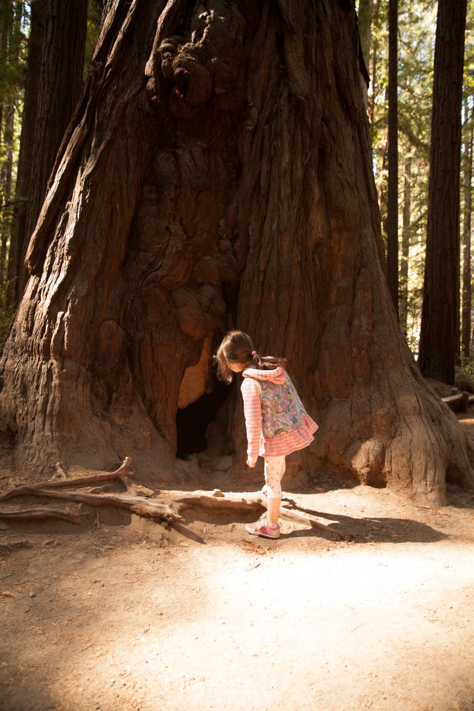 Armstrong National Park 