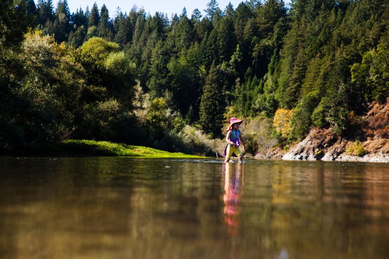 casini ranch California 
