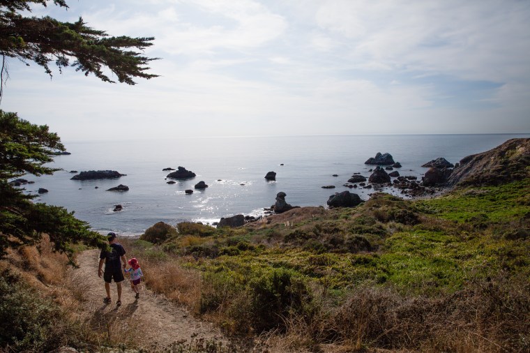 Shell Beach California 